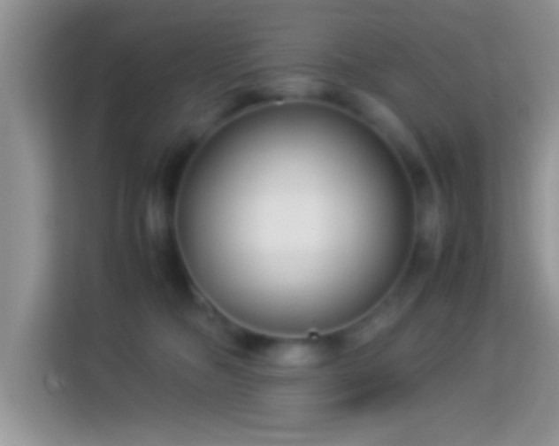 X0000113990326200910091343