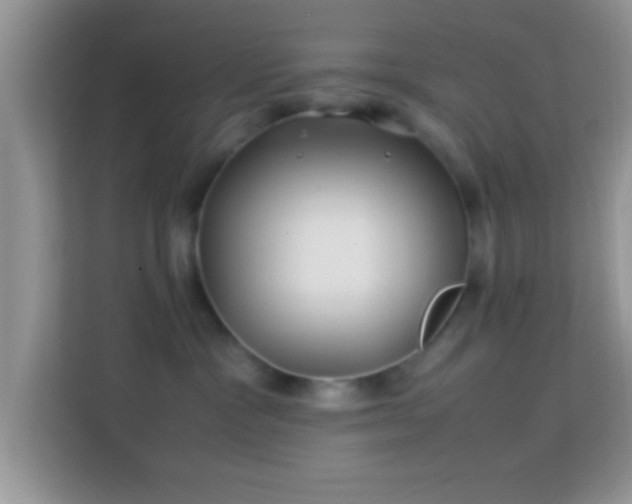 X0000113990333200910091343