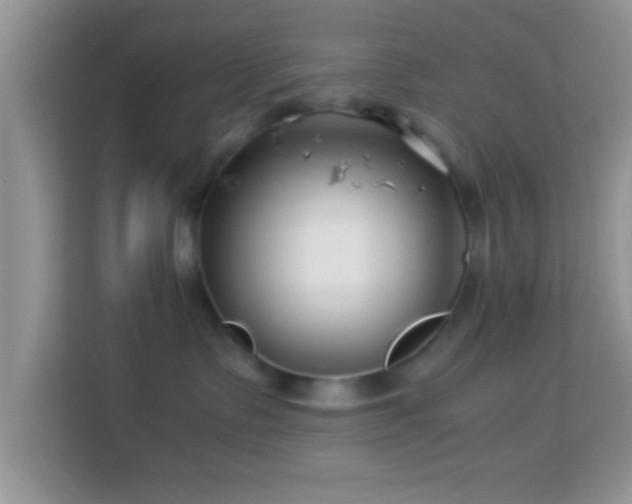 X0000113990335200910091343