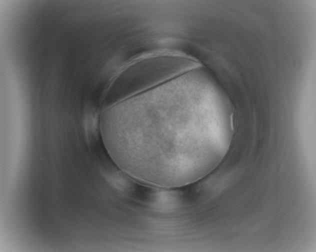 X0000113990336200910091343