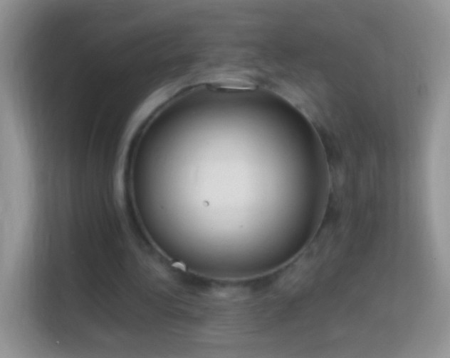 X0000113990340200910091342