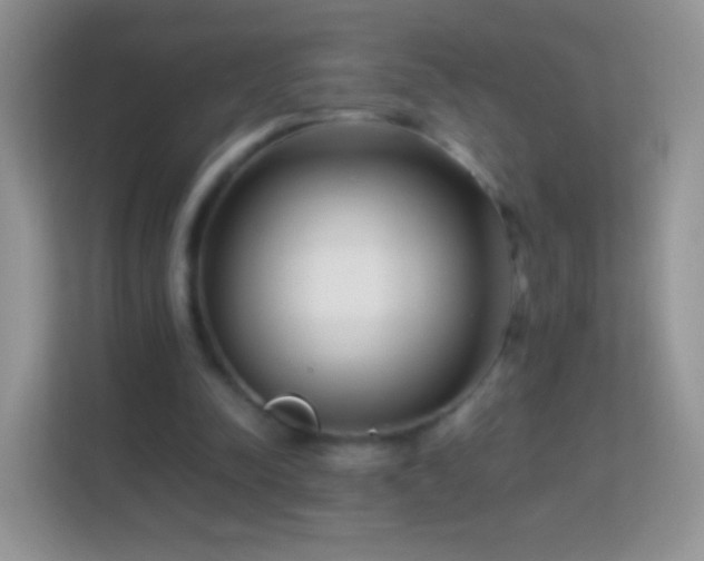 X0000113990342200910091343