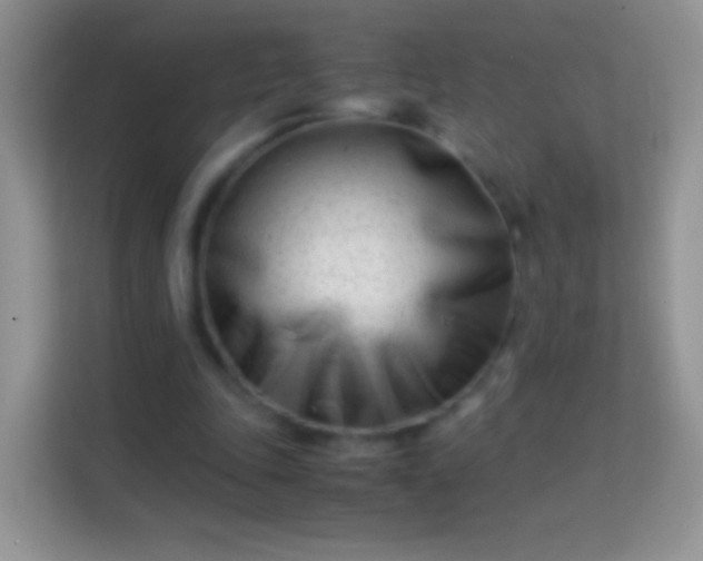 X0000113990343200910091343