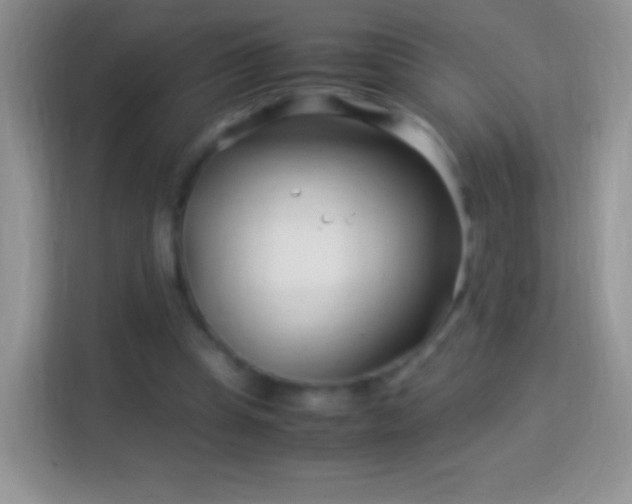 X0000113990345200910091343