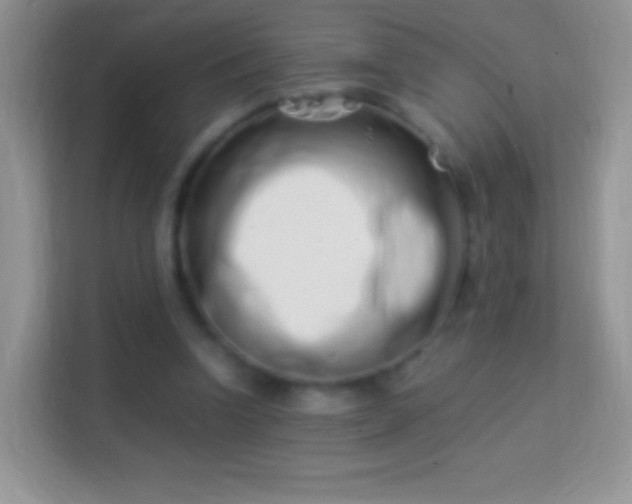 X0000113990346200910091343