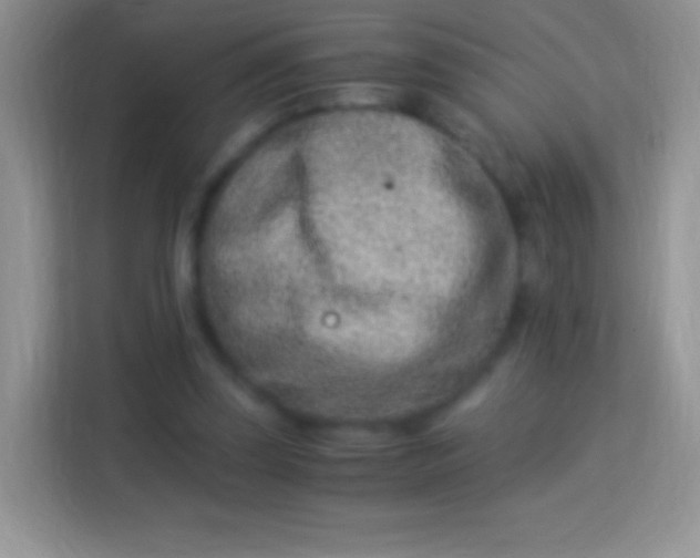 X0000113990347200910091343