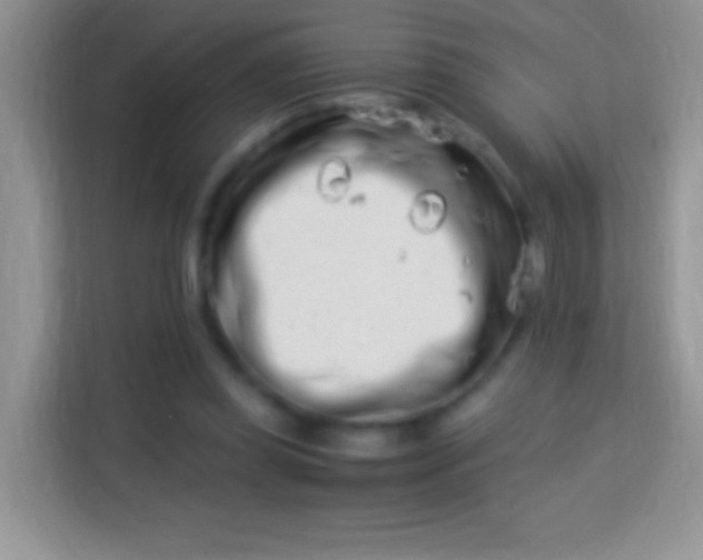 X0000113990349200910091343