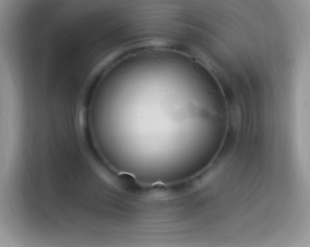 X0000113990350200910091343