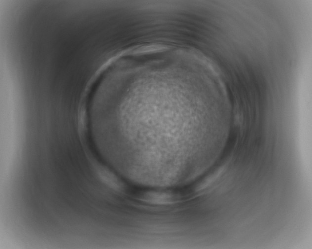 X0000113990351200910091343