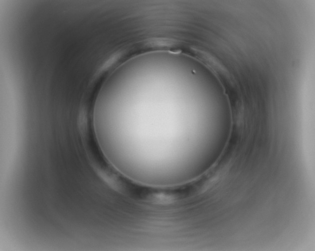 X0000113990352200910091343