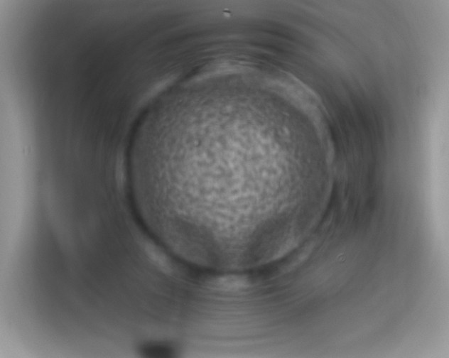 X0000113990353200910091343