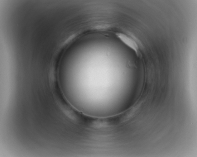 X0000113990354200910091343