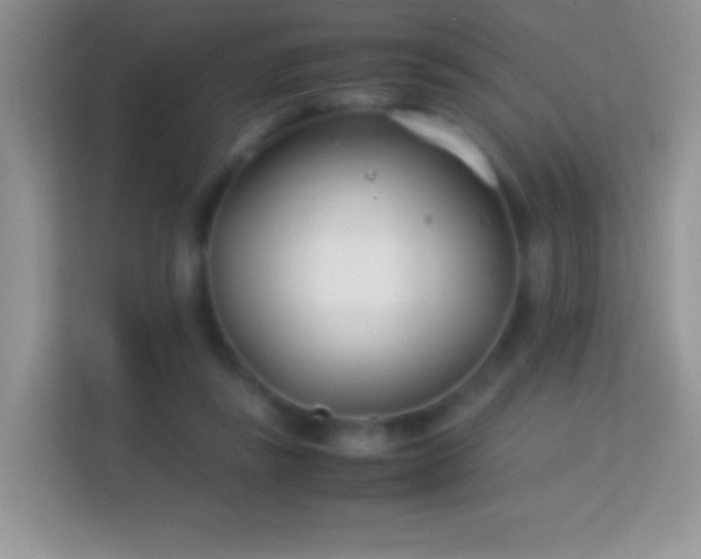 X0000113990355200910091343