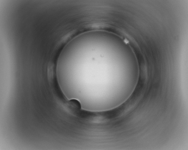 X0000113990356200910091343