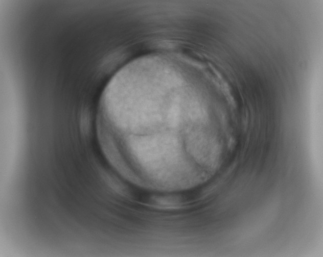 X0000113990359200910091343