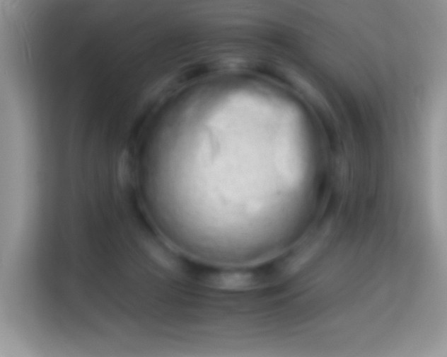 X0000113990361200910091343