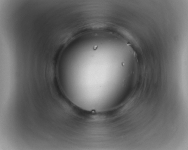 X0000113990362200910091343