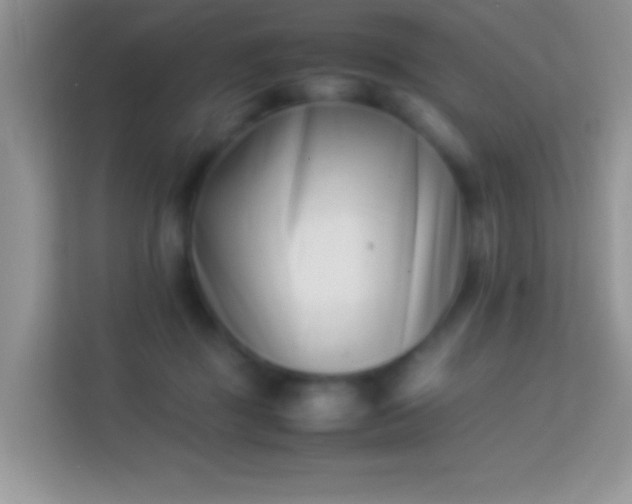 X0000113990363200910091343