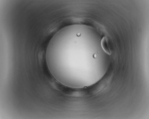 X0000113990364200910091343