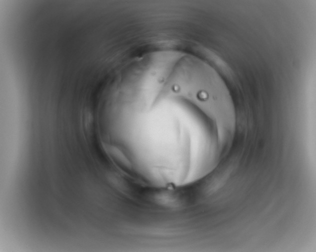 X0000113990365200910091343