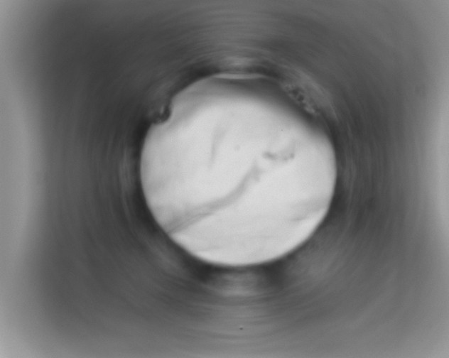 X0000113990366200910091343