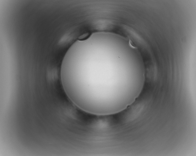 X0000113990368200910091343