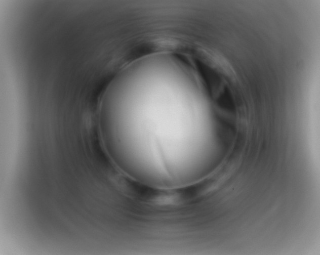 X0000113990369200910091343