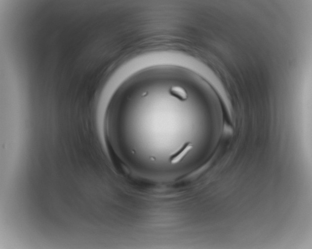 X0000113990372200910091343