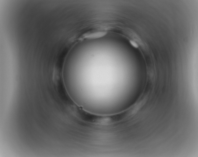 X0000113990374200910091343