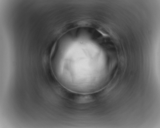 X0000113990375200910091343