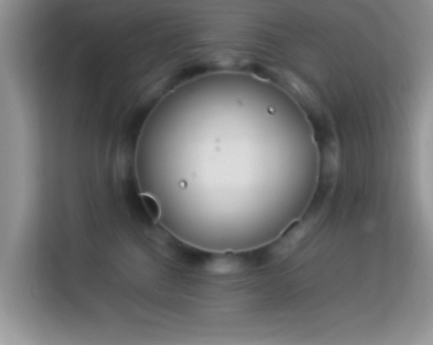 X0000113990376200910091343