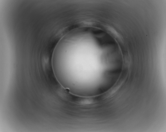 X0000113990377200910091343