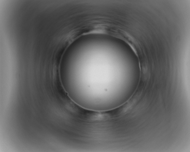 X0000113990379200910091343