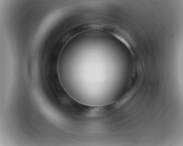 X0000113990382200910091343