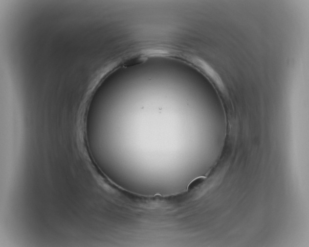 X0000113990385200910091342