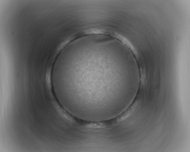 X0000113990386200910091342