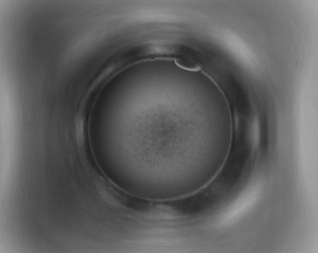 X0000113990387200910091342