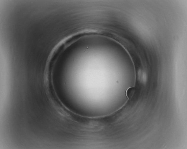 X0000113990388200910091342