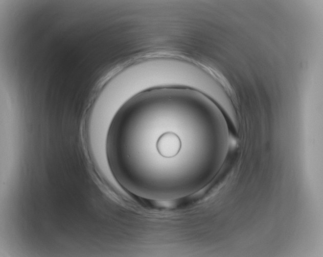 X0000113990389200910091342