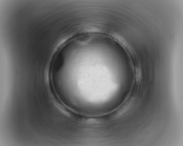 X0000113990390200910091342