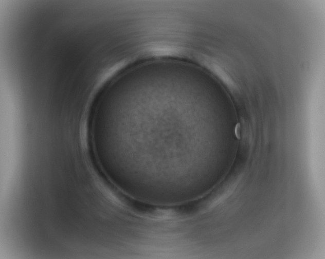 X0000113990391200910091342