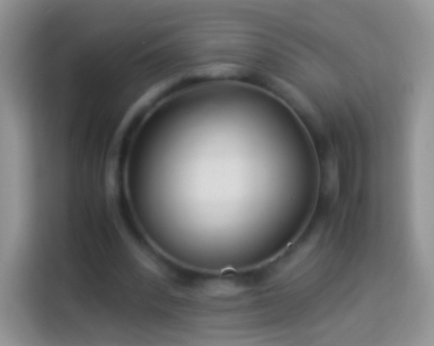 X0000113990392200910091342