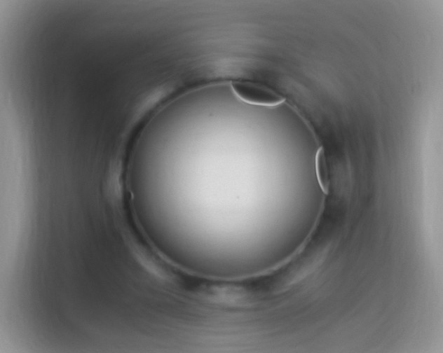 X0000113990395200910091342