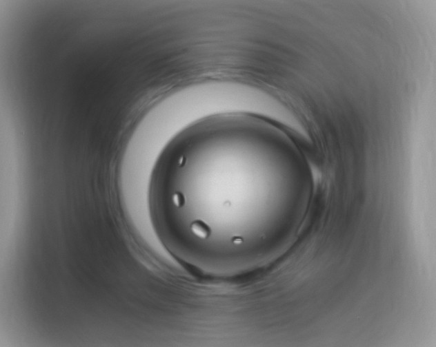 X0000113990397200910091342