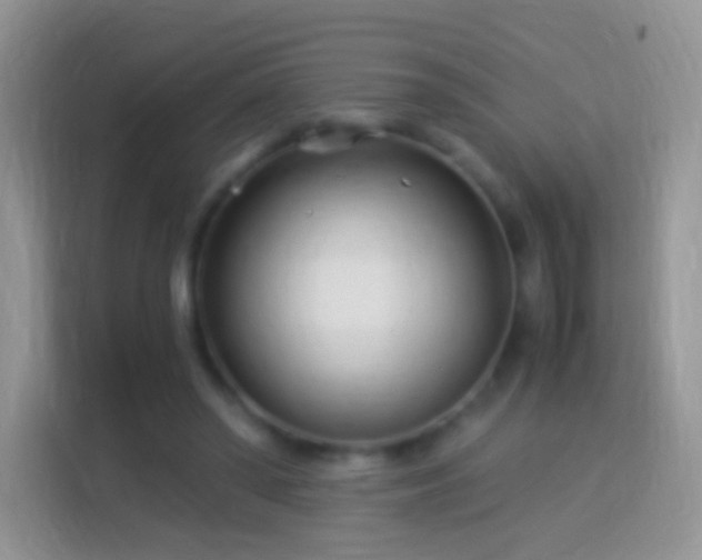 X0000113990398200910091342