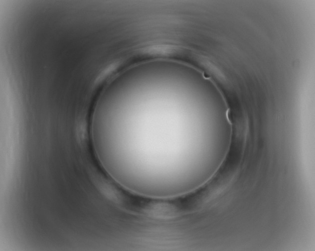 X0000113990399200910091342