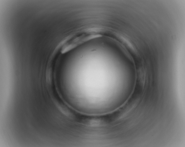 X0000113990400200910091342