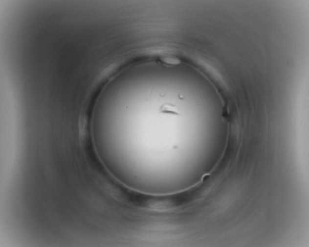 X0000113990403200910091342