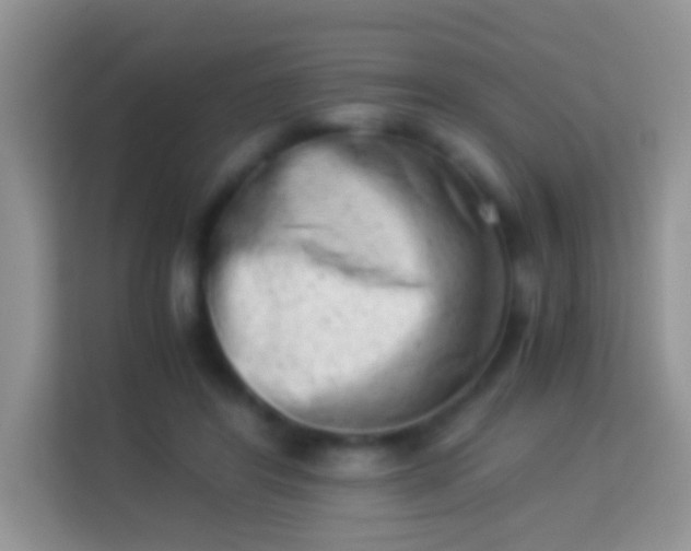 X0000113990404200910091342