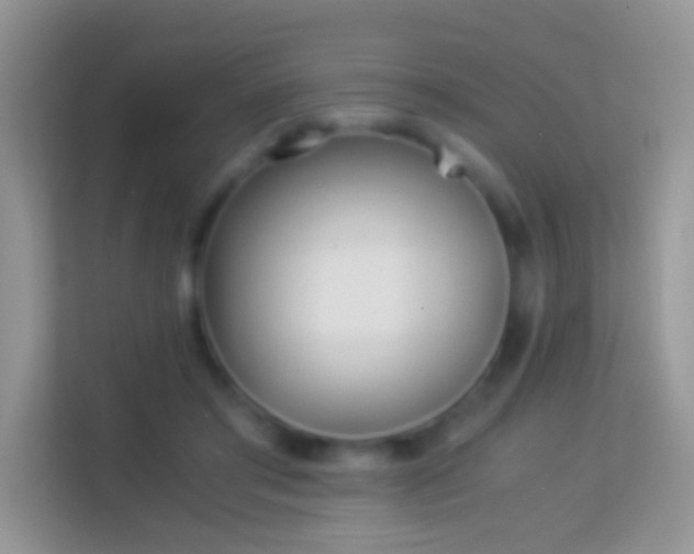 X0000113990405200910091342